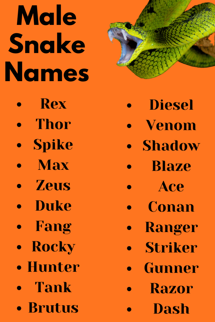 Male Snake Names