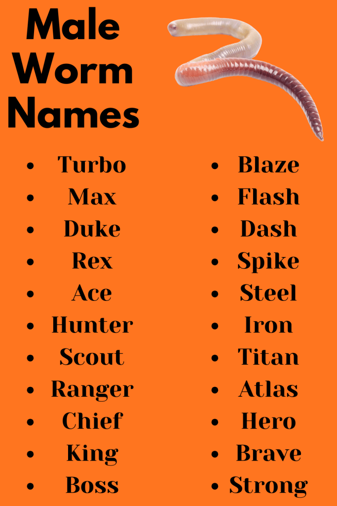 Male Worm Names