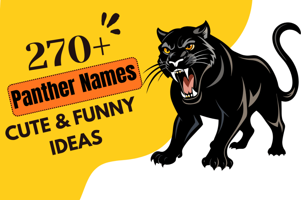 Panther Names