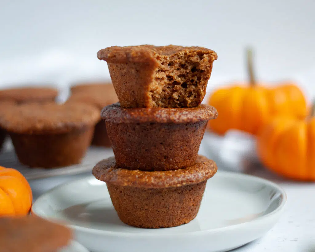 High Protein Greek Yogurt Pumpkin Muffins recipe